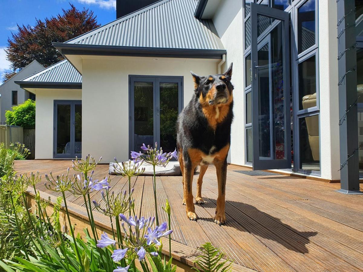 Christchurch Airport House Екстериор снимка